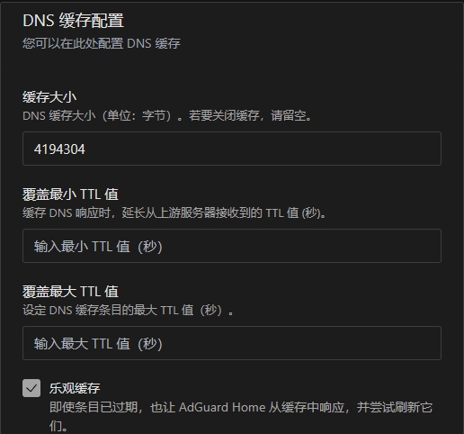 DNS缓存配置