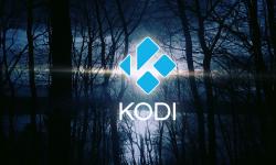 Featured image of post 设置Kodi启动的前置条件