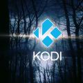 设置Kodi启动的前置条件