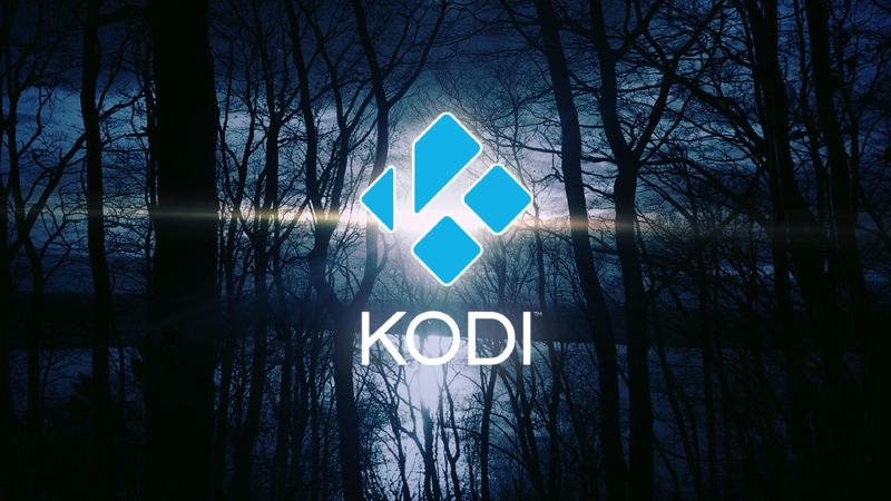 Featured image of post 设置Kodi启动的前置条件
